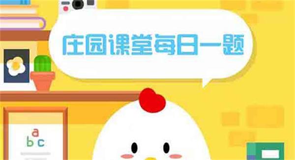 今天蚂蚁庄园答案是什么 蚂蚁庄园答案8月4日汇总