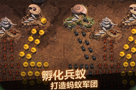 小小蚁国最新版下载