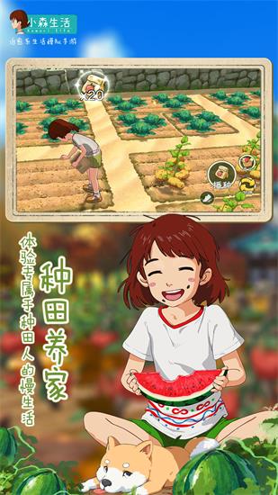 小森生活最新版2023